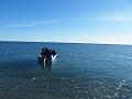 Wales-Nome 168